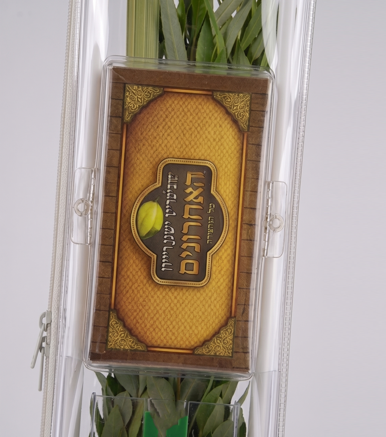 Close-up of the Classic Lulav Case dedicated esrog compartment