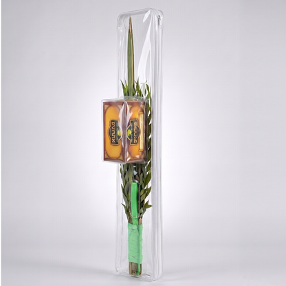 The Classic Lulav Case - clear all-in-one lulav and esrog case standing upright