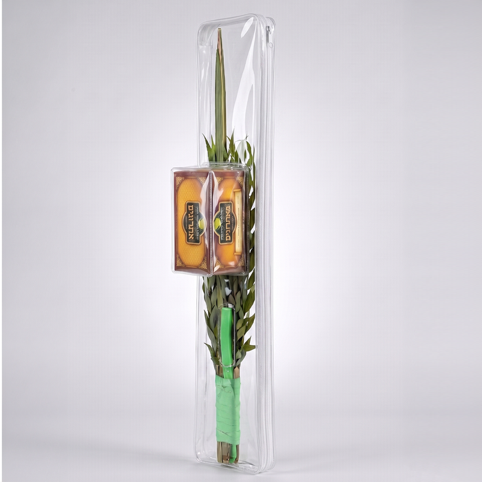 The Classic Lulav Case - clear all-in-one lulav and esrog case standing upright